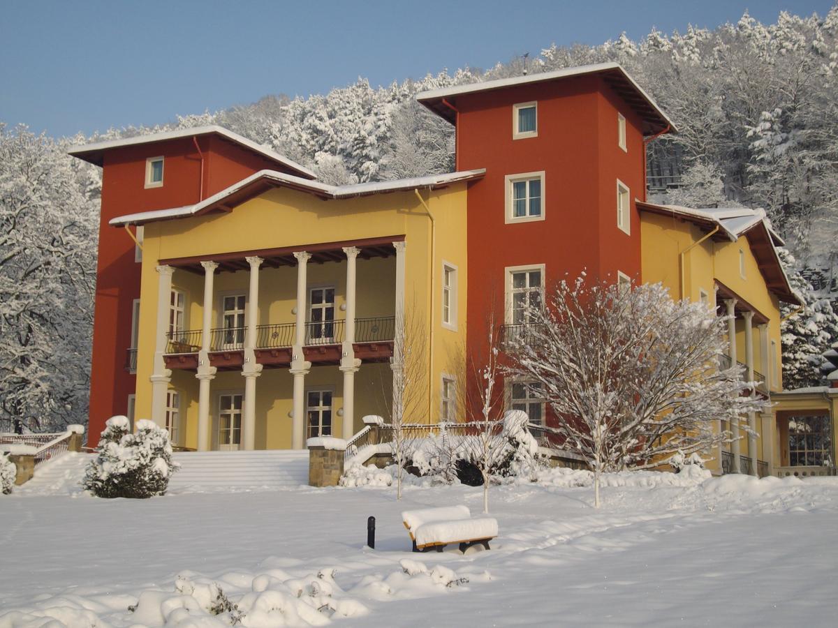 Parkhotel Bad Schandau Mit Spa Luaran gambar